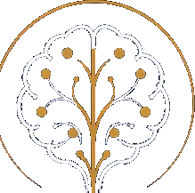 Símbolo do logotipo do Dr. Erion Jr de Andrade